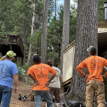 Twain Harte Tree Service - Tree Services Near Me - Twain Harte, California Twain Harte Tree Service - Tree Services Near Me - Twain Harte, California