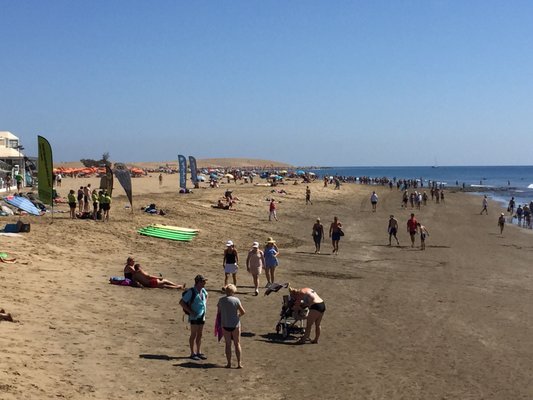 Dunas de Maspalomas by null