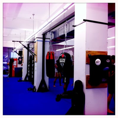 Evolution Muay Thai by null