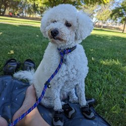 Kennedy Park - My pup enjoyed it