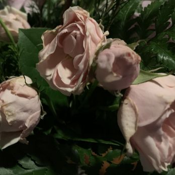 Abandale Florist - Florists Near Me - Tucson, Arizona