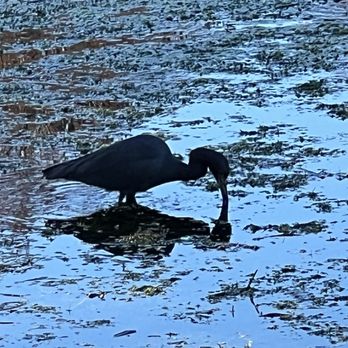 Lake Davis Park - Lakes Near Me - Orlando, Florida