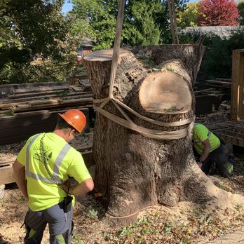 Nick's Tree Service - The last piece of the trunk, over 4500 lbs that was lifted up and over to the road - Tree Services Near Me - Tulsa, Oklahoma Nick's Tree Service - The last piece of the trunk, over 4500 lbs that was lifted up and over to the road - Tree Services Near Me - Tulsa, Oklahoma