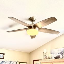 All Pro Electric - New Ceiling Fan Installed