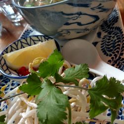 Sen - Pho very tasty. Could use Vietnamese basil but plenty of cilantro was nice.