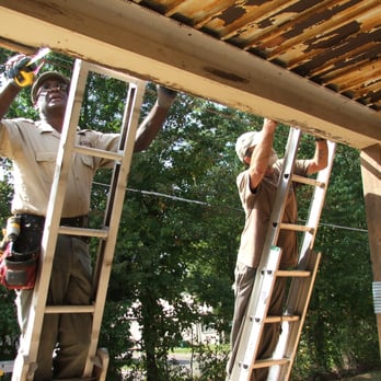 Apex Wildlife Control - Pest Control Near Me - Bartlett, Tennessee