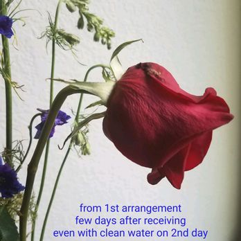 Stadium Flowers - Florists Near Me - Everett, Washington