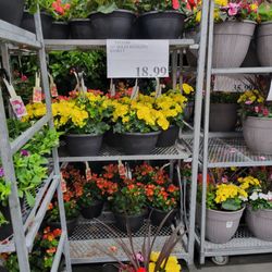 Costco Wholesale