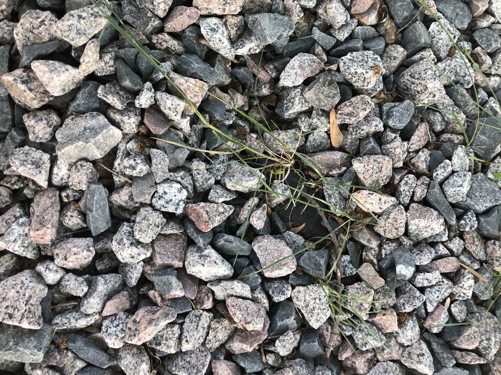 CB SERVICES LAWN, LANDSCAPE & IRRIGATION Updated September 2024 54