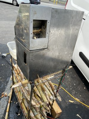 The Brazilian Taste - Sawtelle by null