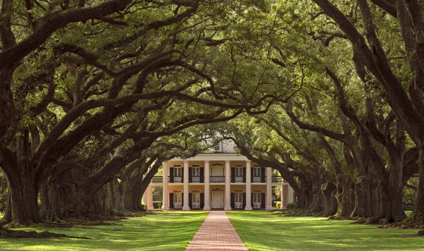Plantation & Swamp Tour - Explore Oak Alley Plantation, a National Historic Landmark dedicated to preserving and interpreting the history its inhabitants left behind, with an emphasis on its time as a working sugarcane plantation. Walk under the iconic Allée, and leave with a richer, more powerful understanding of this plantation’s history. Then cruise Louisiana’s Swamp and Bayou. Learn the mysterious culture of the Cajun and how they adapted to the waterways, wildlife, and weather of Louisiana. Cruise the waterways in a safe pontoon boat with a native of the area. Get up close and personal with some of the wildlife that inhabit the swamp. Take in the beauty of Mother Nature while you are surrounded by moss-draped Cypress trees.
