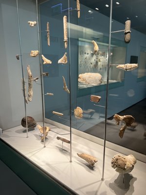 Archaeological Museum of Asturias by null