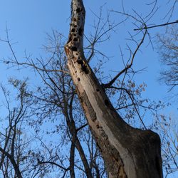 Paul Ruster Park - Paul Ruster Park