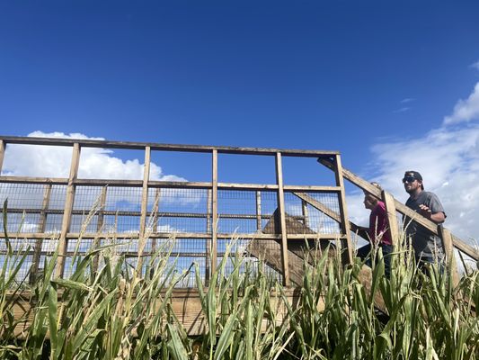 Tolmachoff Farms by null