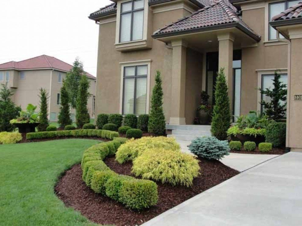 Admire Landscaping - tree service in Brooklyn, NY