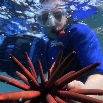 1. Sea Scooter Snorkeling