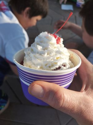 Hot Licks Homemade Ice Cream by null