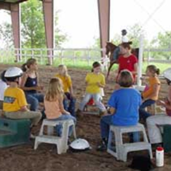 Golden Vista Equestrian Center - Campers have theory and riding instruction in a beautiful, cool 100X200  covered arena.