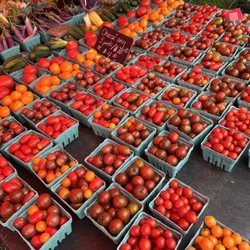 Archwood Green Barns Farmers' Market