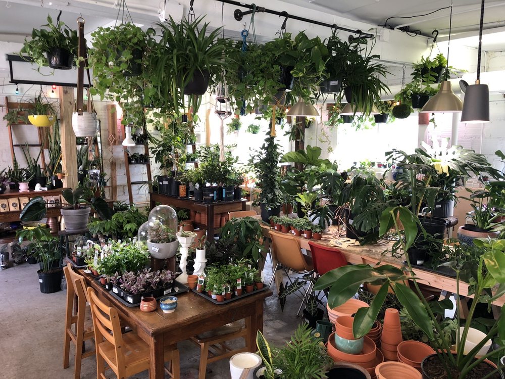 JUNGLE HOUSE 27 Photos & 12 Reviews Nurseries & Gardening 924