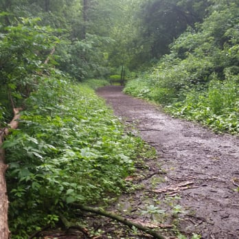 Andy's Bark Park - The paths are well trodden, expect the back one. But always bring boots just in case when it's wet, as seen here. - Dog Parks Near Me - Woodbury, Minnesota