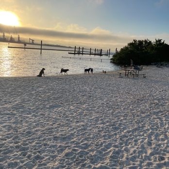 Davis Island Dog Beach - Mutts!!! - Dog Parks Near Me - Tampa, Florida Davis Island Dog Beach - Mutts!!! - Dog Parks Near Me - Tampa, Florida