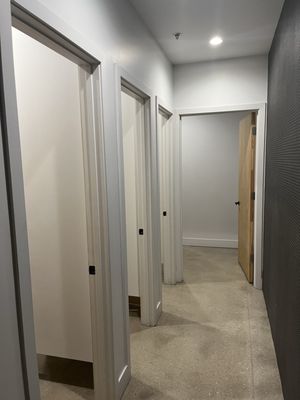 The Little Lark by null