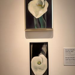 Georgia O'Keeffe Museum
