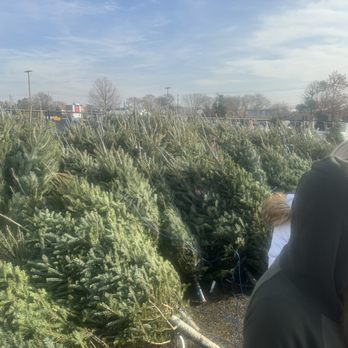 Stew Leonard's - Christmas Trees!! - Bakeries Near Me - East Meadow, New York Stew Leonard's - Christmas Trees!! - Bakeries Near Me - East Meadow, New York