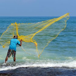 Grenada Lake Charters
