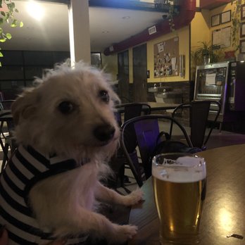 Differential Brewing - Wheat Ale! - Brewpubs Near Me - Albuquerque, New Mexico