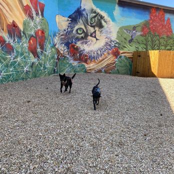 Best Friends Roadhouse - Murals and Dog Park Play - Hotels Near Me - Kanab, Utah