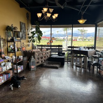 Redlands Cryo Spa - Small gift shop area. - Day Spas Near Me - Redlands, California