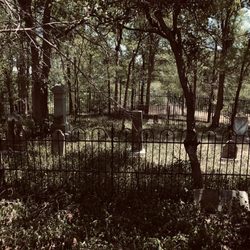 Rector Cemetery