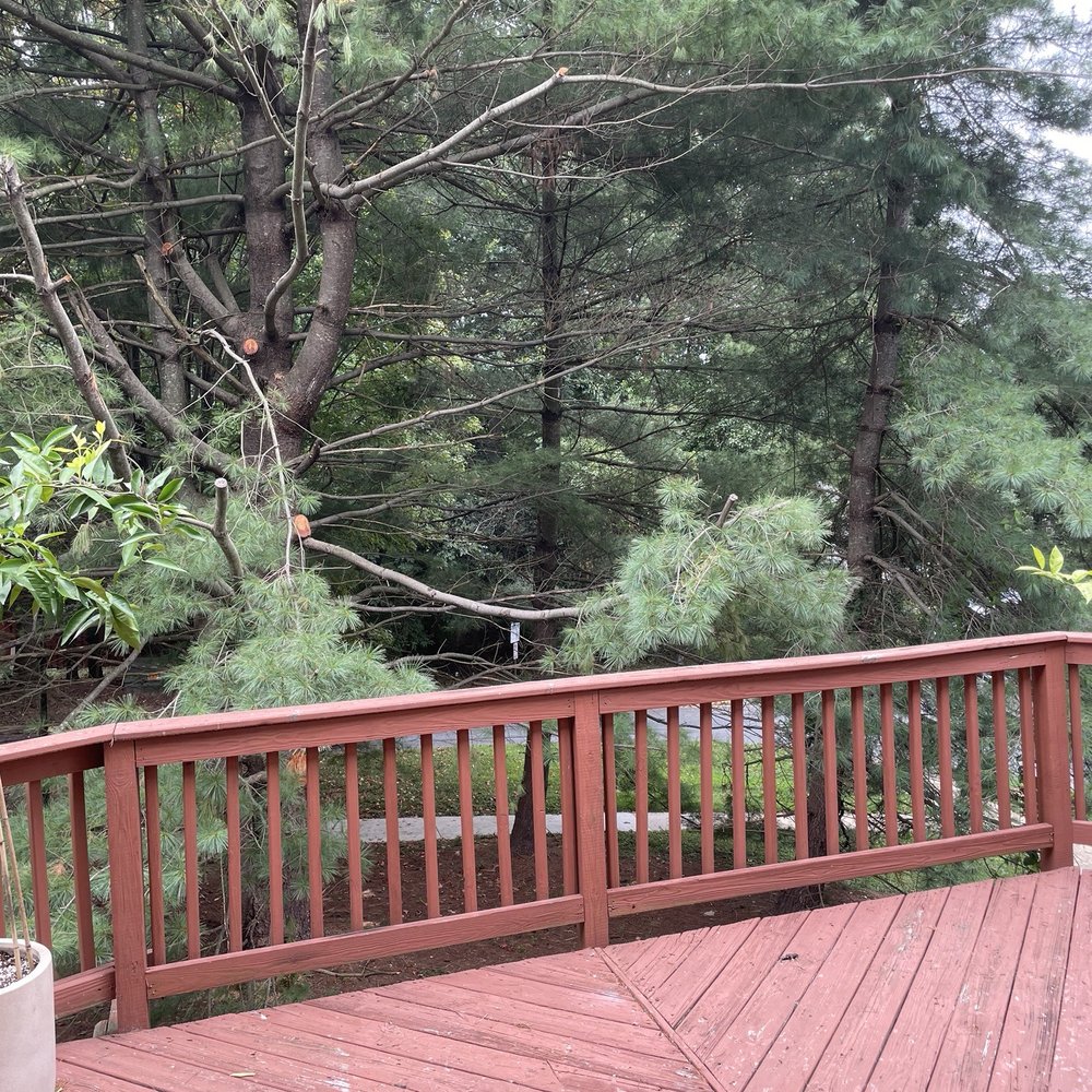 Jcm Contractor - Old deck - General Contractors Near Me