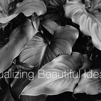 Viscera Studio - Graphic Design Near Me - Oakland, California Viscera Studio - Graphic Design Near Me - Oakland, California