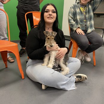 Barx Parx - Pet Training Near Me - Las Vegas, Nevada Barx Parx - Pet Training Near Me - Las Vegas, Nevada