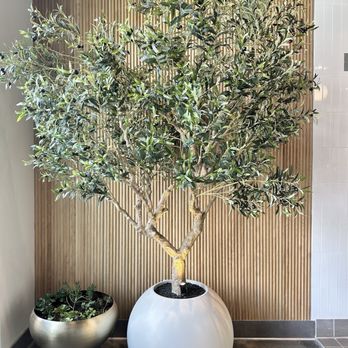 STARDUST Coffee House - Inside zen feeling! Beige and white theme all around - Cafes Near Me - Campbell, California