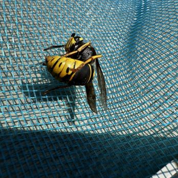Tickiboom - Pest Control Near Me - Tega Cay, South Carolina