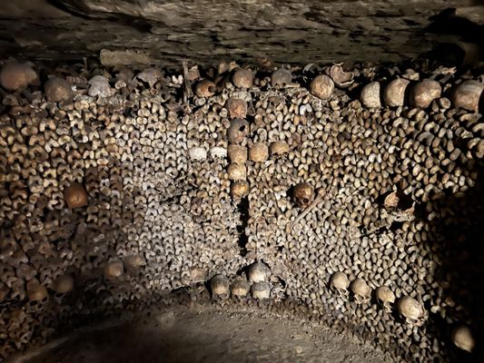 Catacombs of Paris by null