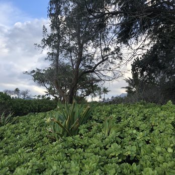 Kalama Beach Park - With this lushly green plants, it covers this pristine beach and seems to serve as the protection from human. - Parks Near Me - Kailua, Hawaii Kalama Beach Park - With this lushly green plants, it covers this pristine beach and seems to serve as the protection from human. - Parks Near Me - Kailua, Hawaii