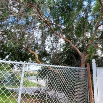 ArborCare Tree Care - Tree Services Near Me ArborCare Tree Care - Tree Services Near Me