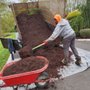 David's Tree Service & Landscaping