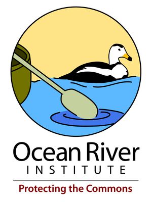 Ocean River Institute by null