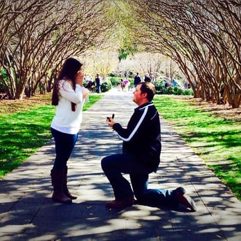 Brides By Sonja - The Proposal 2015 - Wedding Planning Near Me Brides By Sonja - The Proposal 2015 - Wedding Planning Near Me