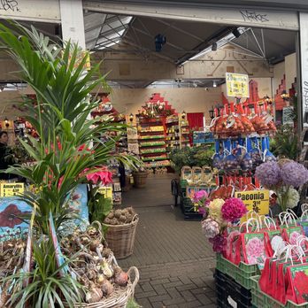 Amsterdam Flower Market - Florists Near Me - Amsterdam, New Hampshire