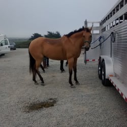 Apple Creek Training & Lessons Center