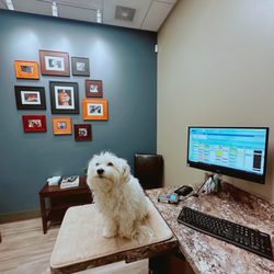 Parkway Animal Clinic - Our little one at the clinic