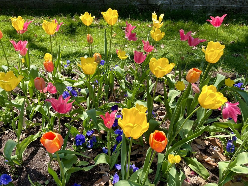 Social spots from Oak Knoll Park