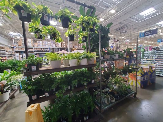 Lowe's Home Improvement by null
